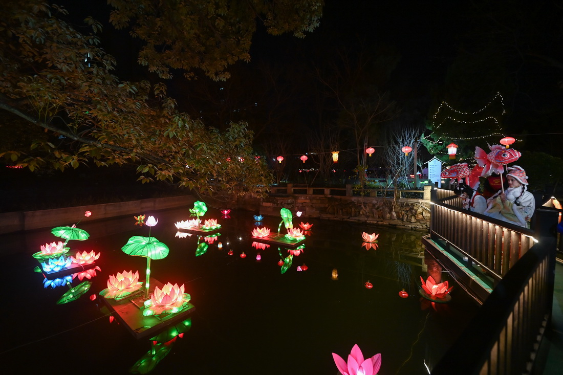 1月29日，在嘉興市秀洲區新塍古鎮小蓬萊公園內，人們前來觀賞“鰲山燈會”的彩燈。