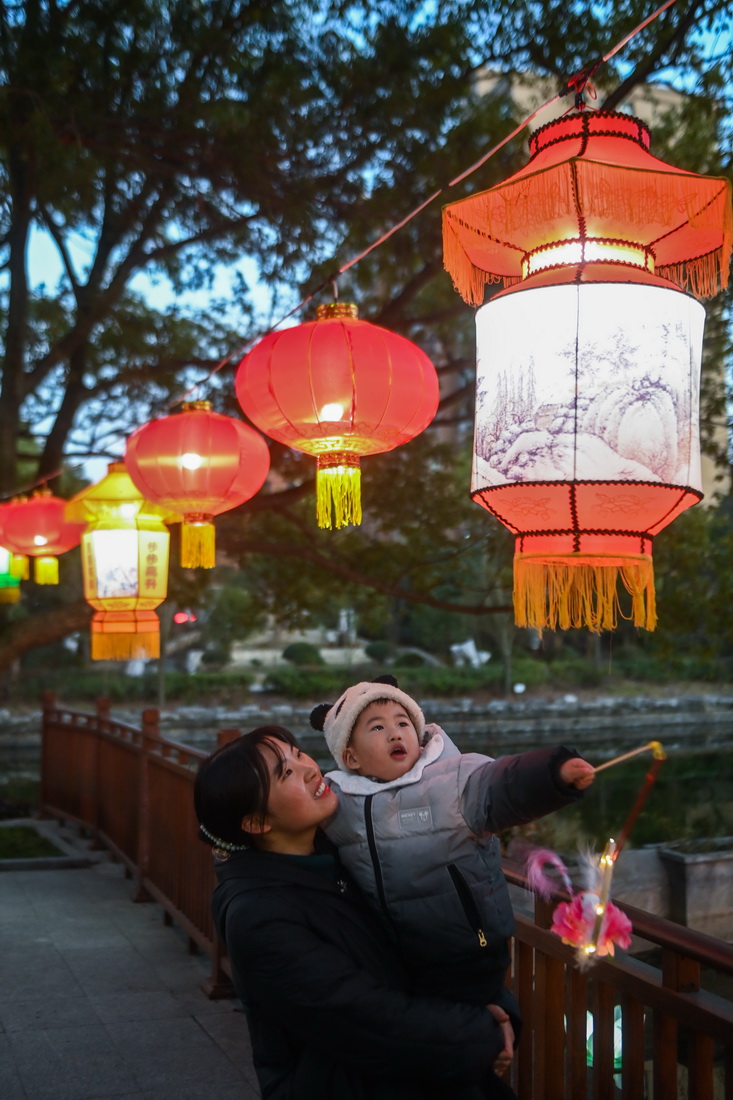 1月29日，在嘉興市秀洲區新塍古鎮小蓬萊公園內，一位家長帶著孩子在觀賞“鰲山燈會”的彩燈。