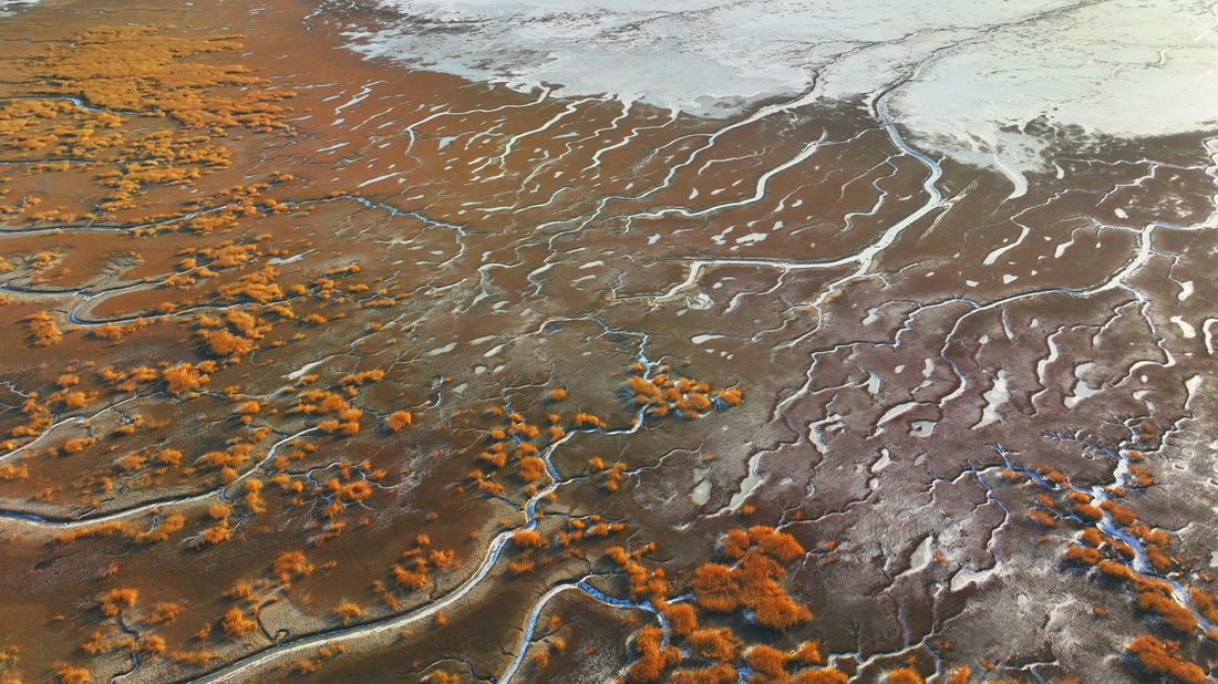 2月1日拍攝的遼河口濕地“冰脈”（無人機照片）。
