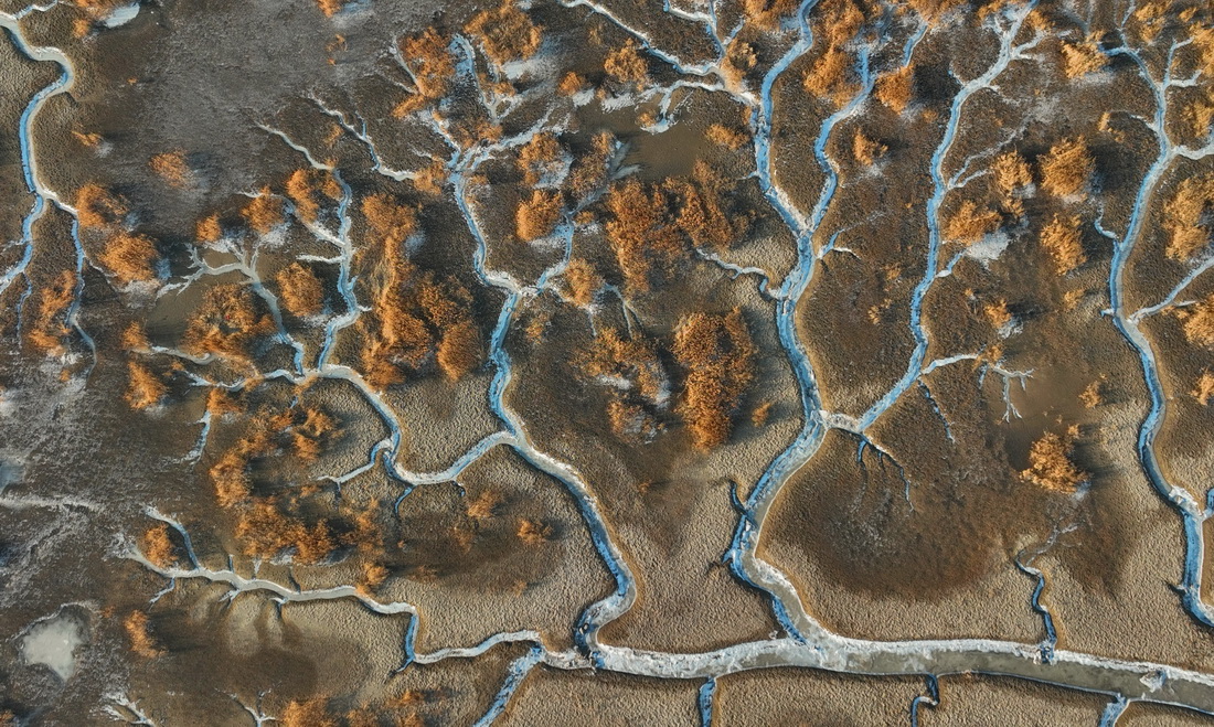 2月1日拍摄的辽河口湿地“冰脉”（无人机照片）。