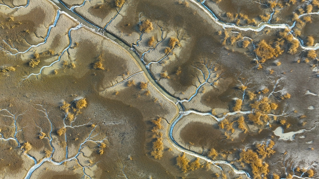 2月1日拍摄的辽河口湿地“冰脉”（无人机照片）。
