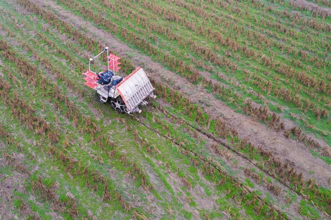 2月8日，一輛無人駕駛插秧機在鼎城區國家現代農業產業園田間調試（無人機照片）。新華社記者 周勉 攝