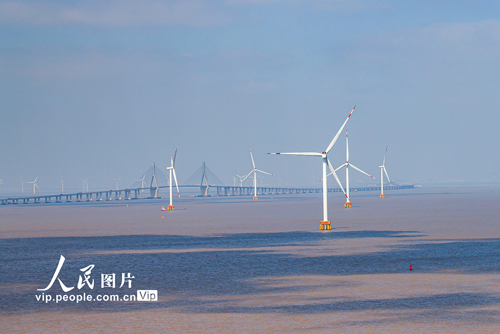 上海：東海大橋海上風電場美景如畫【4】