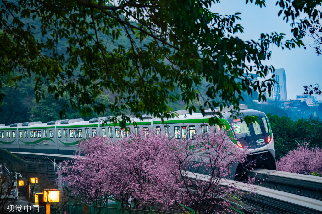 重慶:列車花間穿行