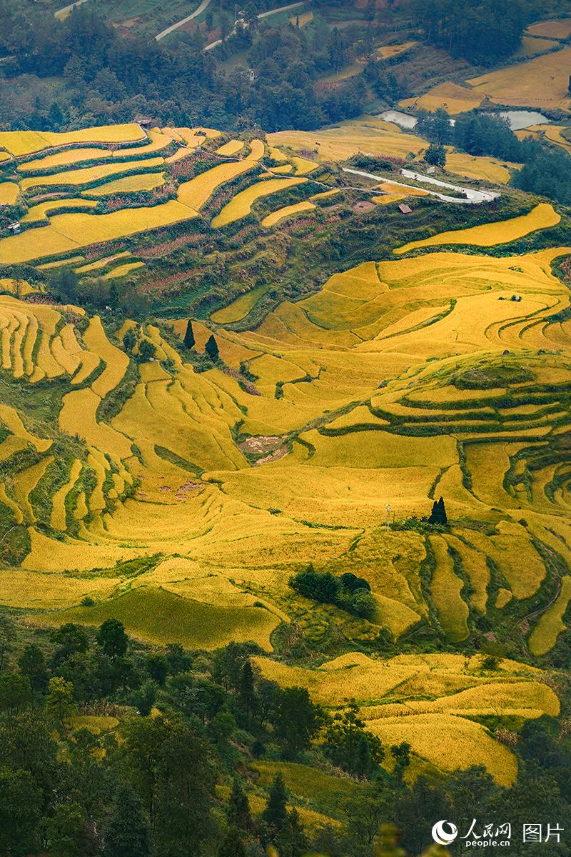 �μ��һ��3��