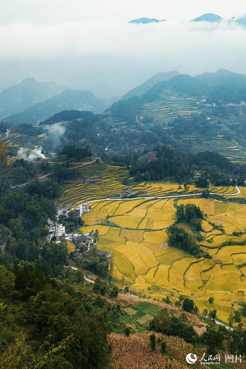 �μ��һ��2��