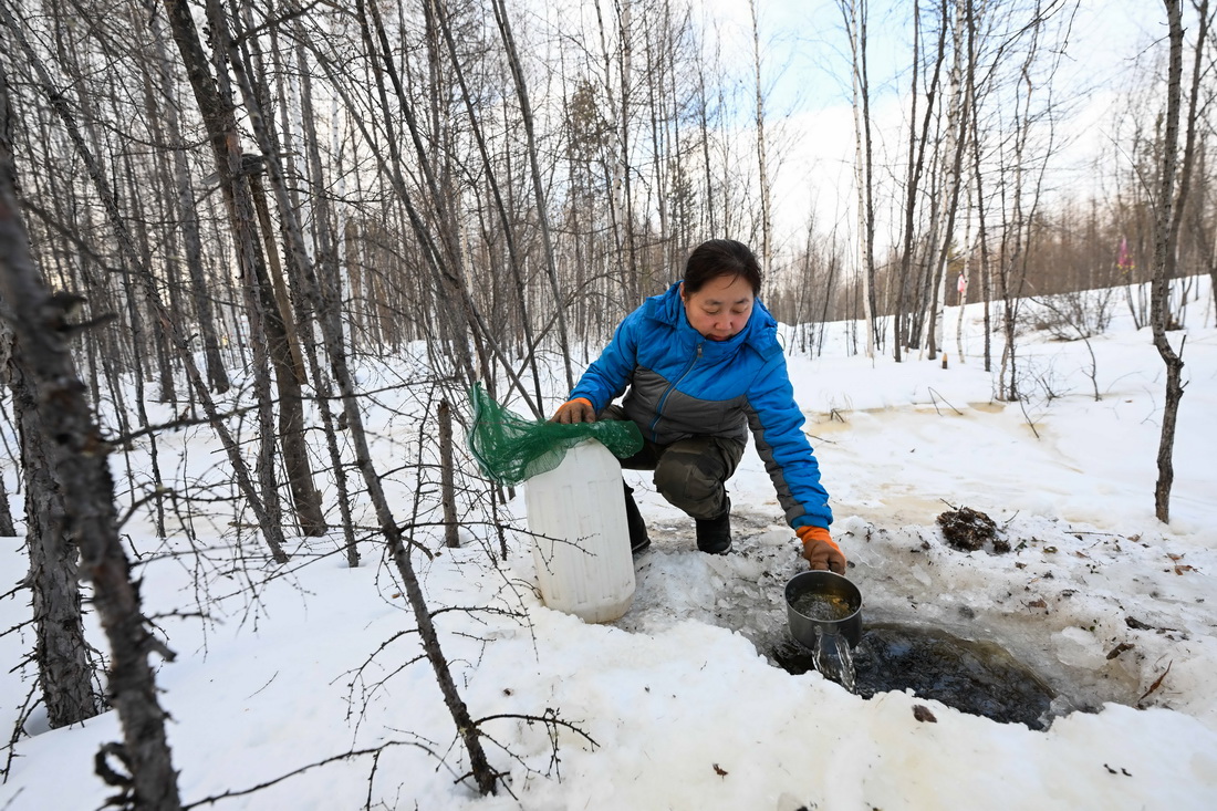 2月22日，烏龍岱林場402工隊職工吉桂艷在駐點附近一處山泉取水。
