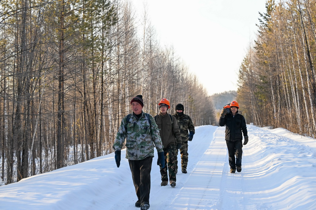 2月23日，内蒙古森工集团满归公司乌龙岱林场402工队的职工上山作业。