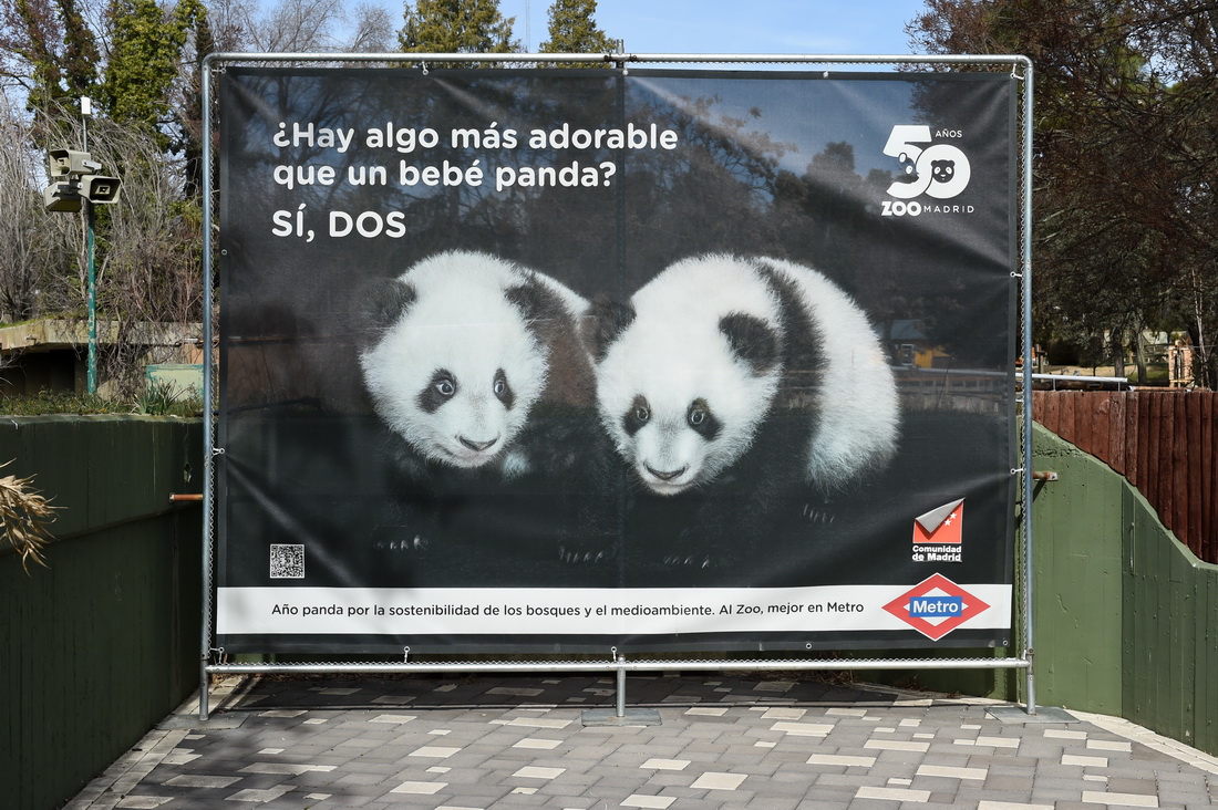 这是3月7日在西班牙马德里动物园拍摄的大熊猫双胞胎海报，上面写着“有什么比一只大熊猫宝宝更可爱的吗？有，两只。”