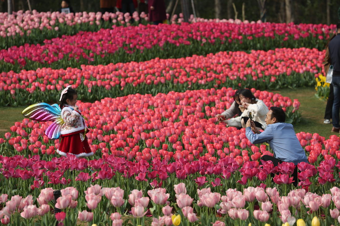 游客在江西省南昌縣的鳳凰溝景區踏春游玩（3月12日攝）。