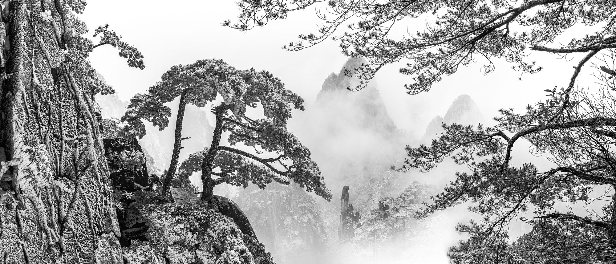 《黑白之間》(部分) 。崔建玲攝