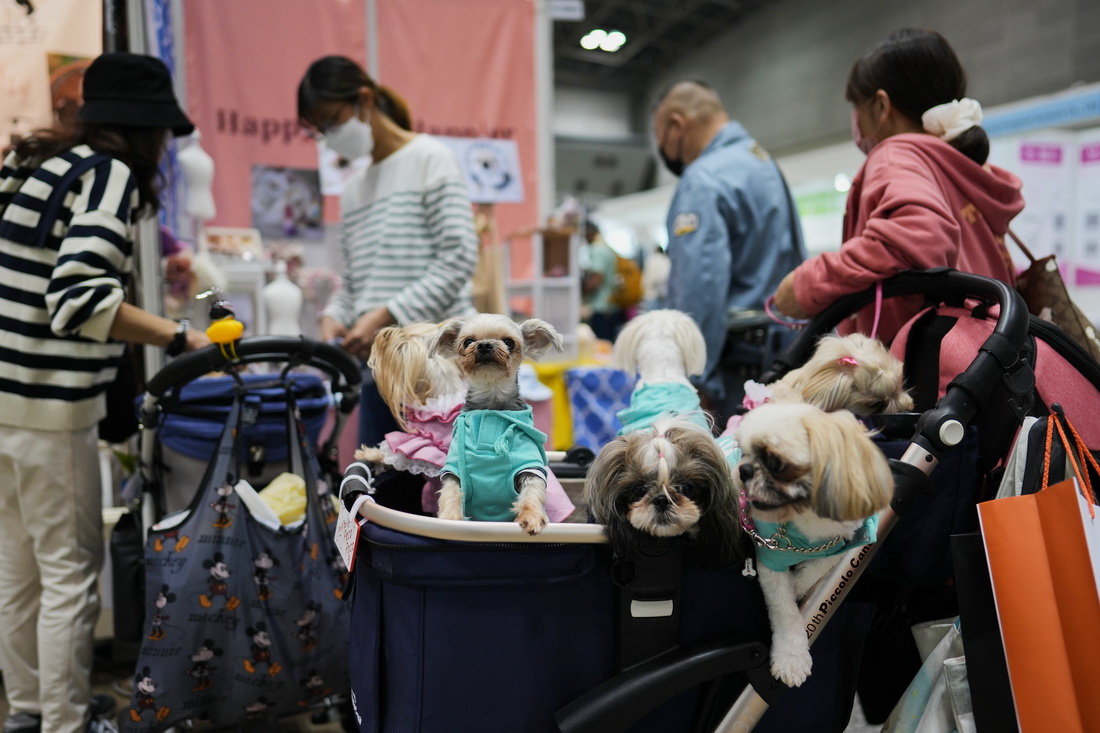 東京舉行國際寵物用品博覽會