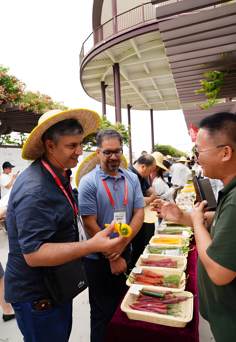 4月4日，来自国外的与会者在展示区内交流。