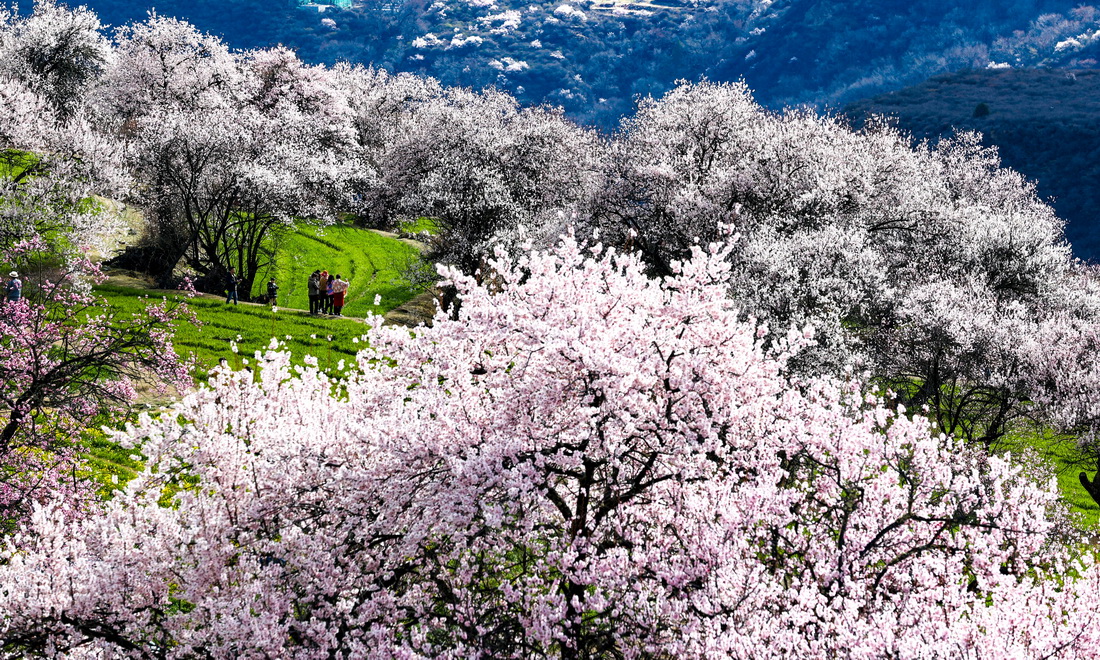 �ο������ɴ���һ��ּ����棨4��5���㣩��