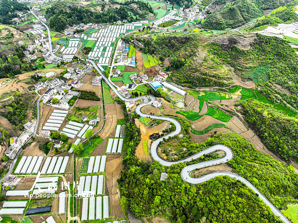 貴州黔西：“四好農村路”助力產業發展