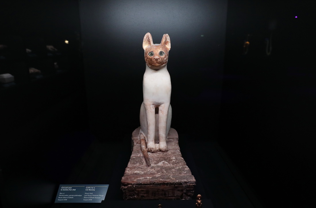 這是4月6日在法國巴黎拍攝的貓木乃伊石棺。