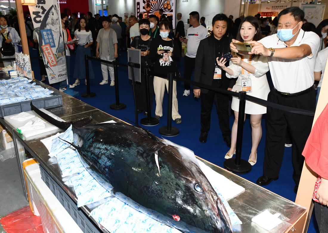 4月12日，觀眾在消博會拍攝展出的金槍魚。新華社記者 楊冠宇 攝