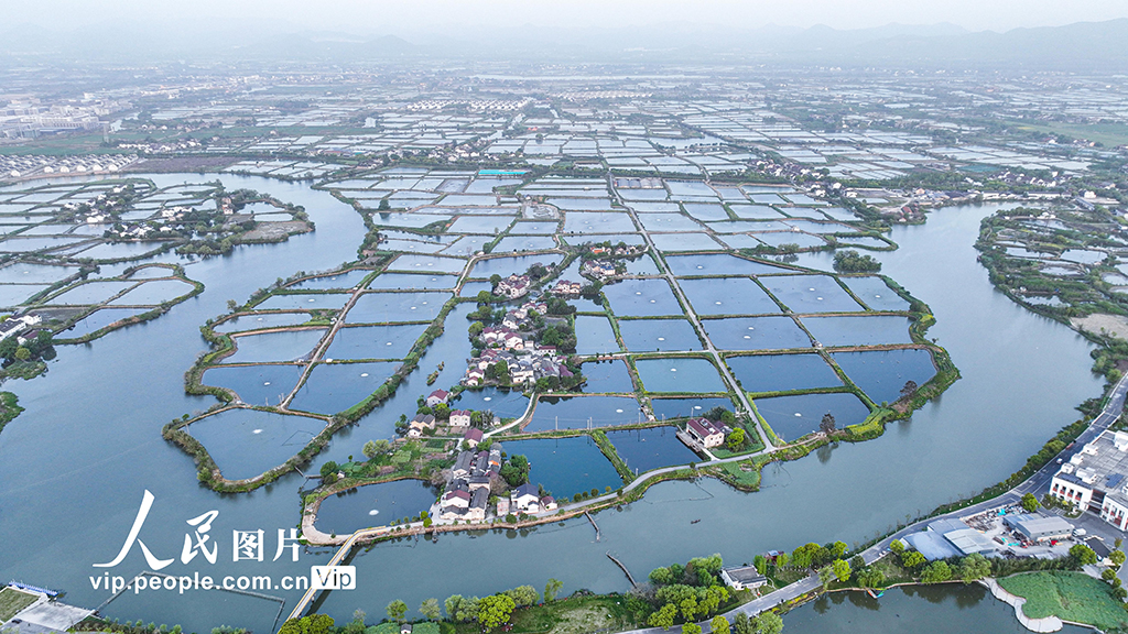 浙江湖州：千年桑基魚塘 生態美景圖