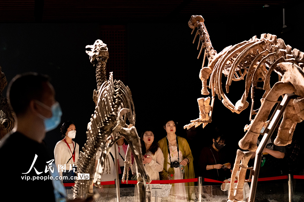 江蘇南京：年輕人走進博物院