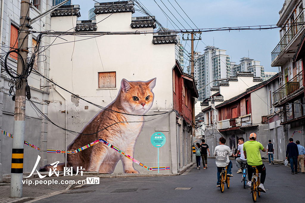 上海老街“变身”创意“外滩猫街”