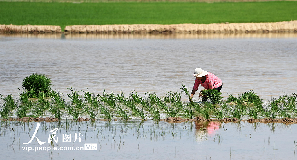 �Ĵ�������Ĳ���æ��8��