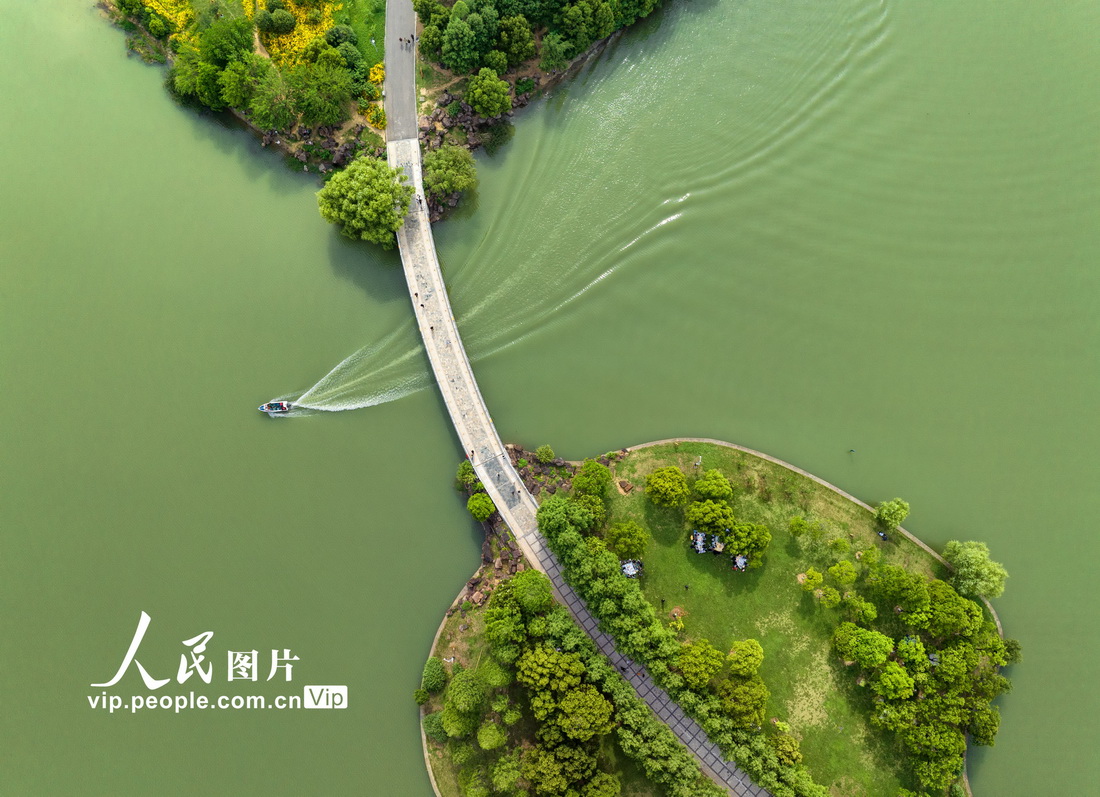 2023年5月13日，安徽省合肥市翡翠湖公園，碧水漣漪，風景如畫。