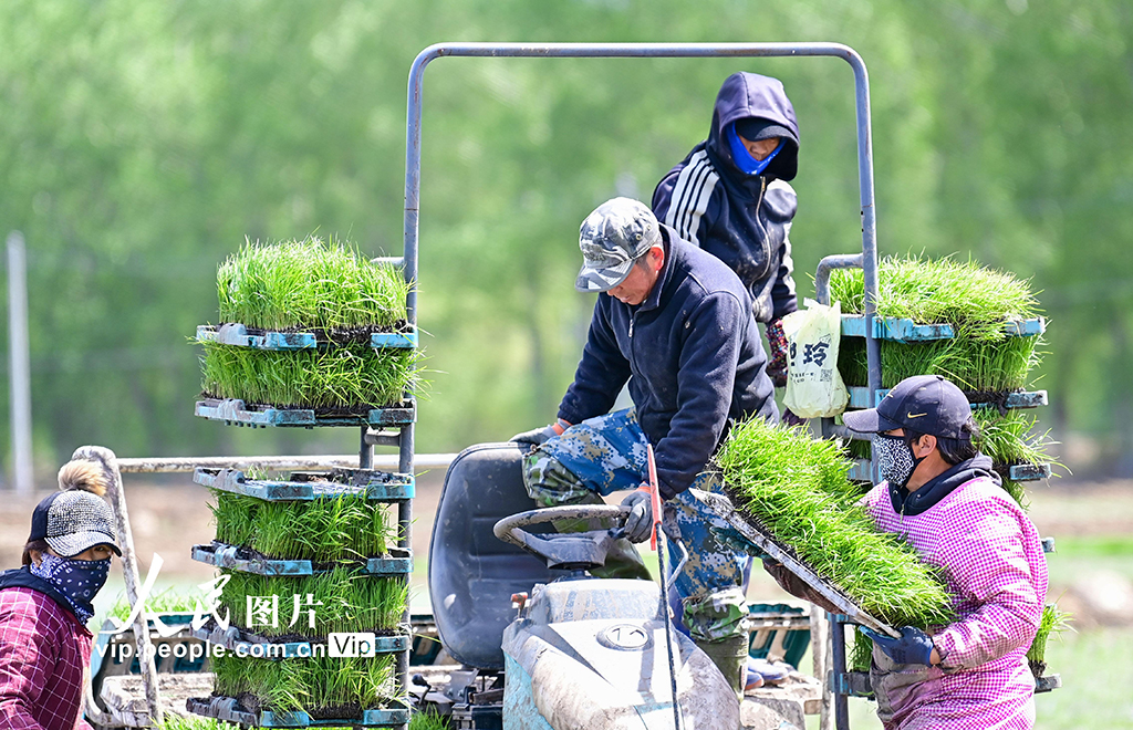 ���ɹ��˰��ˣ�����Ķ�������æ��3��