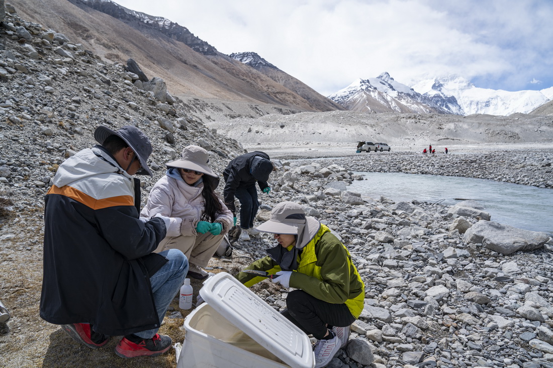 在珠峰登山大本營附近，來自西藏大學生態環境學院的科考隊員在收集土壤樣本（5月22日攝）。新華社記者 孫非 攝