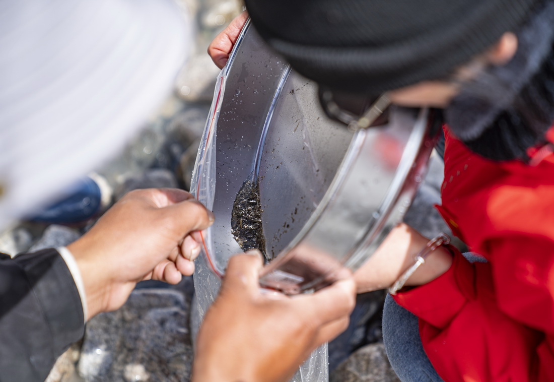在珠峰登山大本營附近，來自西藏大學生態環境學院的科考隊員在收集水生生物樣本（5月22日攝）。新華社記者 孫非 攝