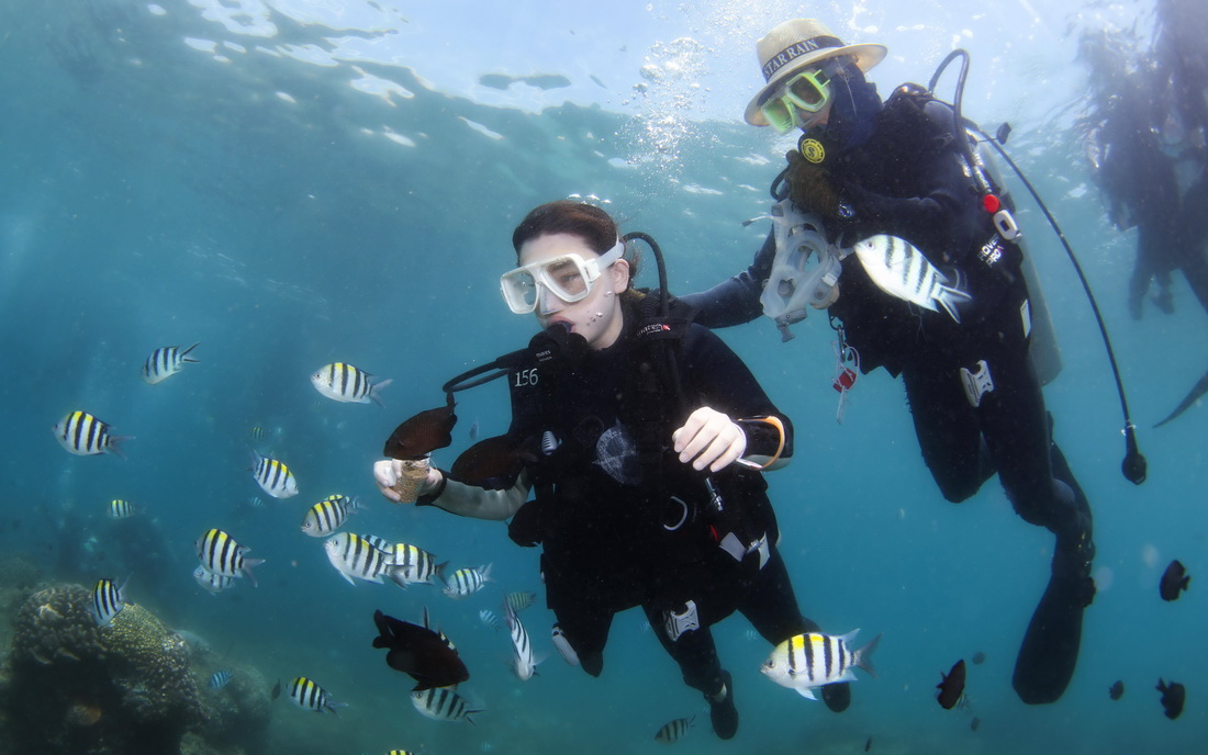 5月27日，游客在分界洲島附近海域體驗潛水。