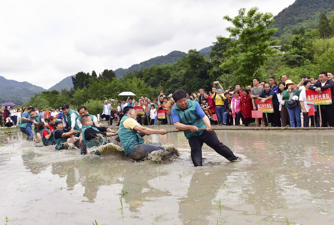 5月27日，秭歸縣九畹溪鎮農民在水田裡參加拔河比賽。新華社發（王輝富攝）