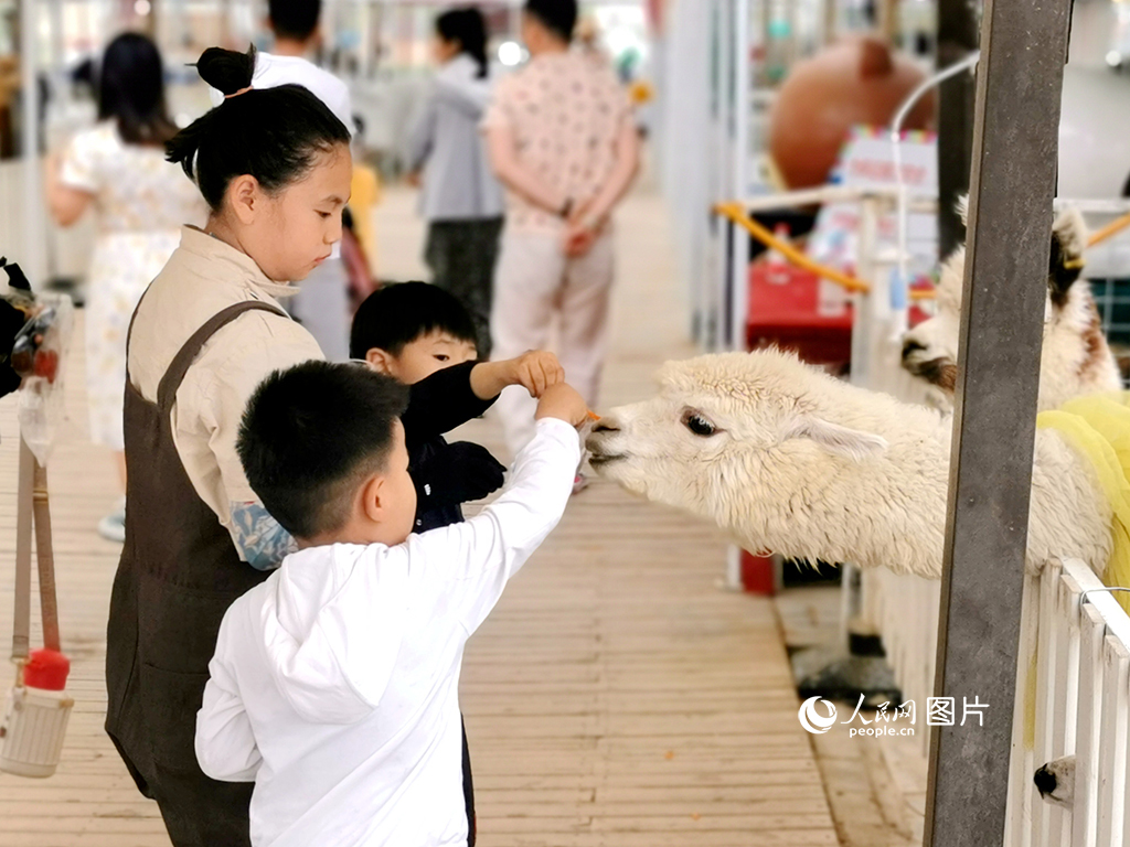 5月28日，小朋友在宁夏银川市的公园里给小动物喂食。人民网 阎梦婕摄