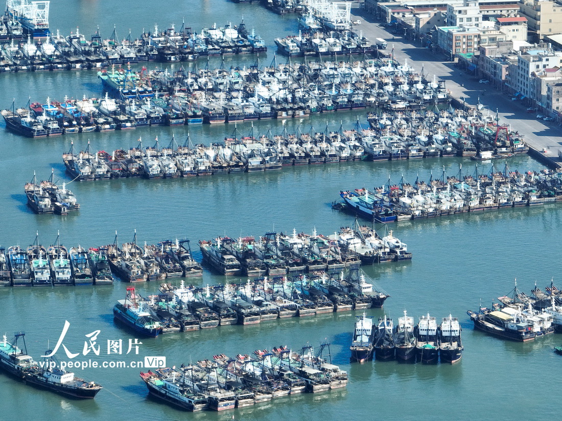 廣東茂名 ：休漁期 漁船停靠碼頭【3】
