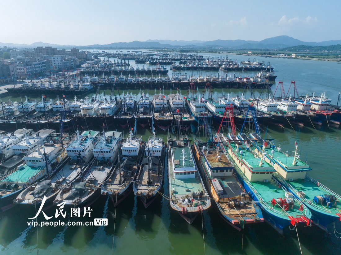 廣東茂名 ：休漁期 漁船停靠碼頭【6】