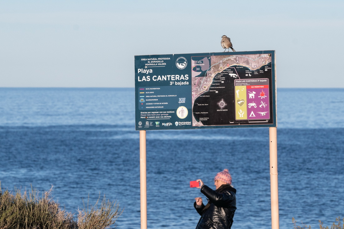 6月13日，游客在阿根廷馬德林港一處可觀賞鯨魚的海灘前拍照。新華社記者 王天聰 攝
