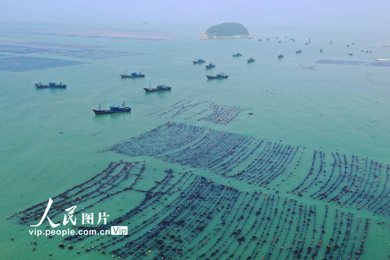 ç¦å»ºç¦å·ï¼ç«å¤æ¶èèæµ·å¿ã5ã