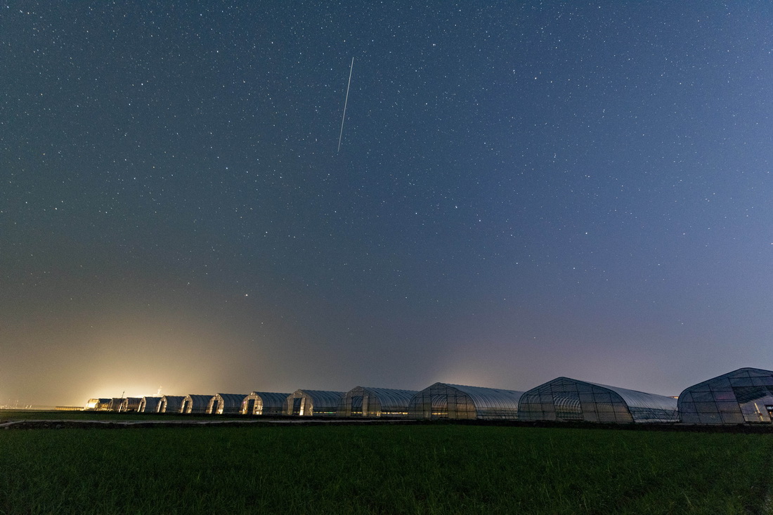 這是6月26日凌晨在黑龍江省富錦市萬畝水稻公園內拍攝的稻田和星空（長時間曝光）。