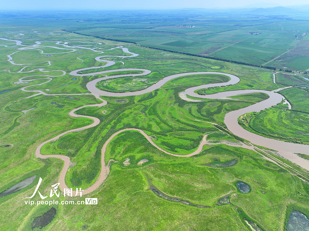 2023年7月4日,在黑龍江省雙鴨山市饒河縣拍攝的黑龍江撓力河國家級自然保護區夏日美麗風光。