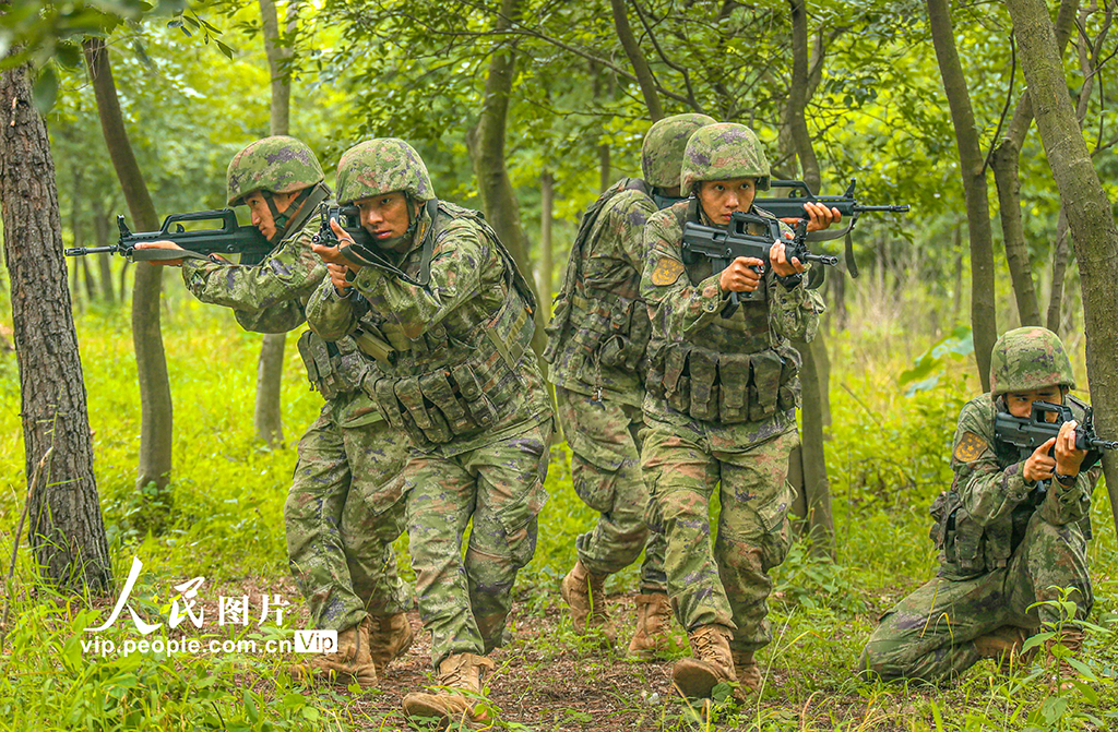 陸軍某旅組織開展多武器裝備跨晝夜實彈射擊演練【3】