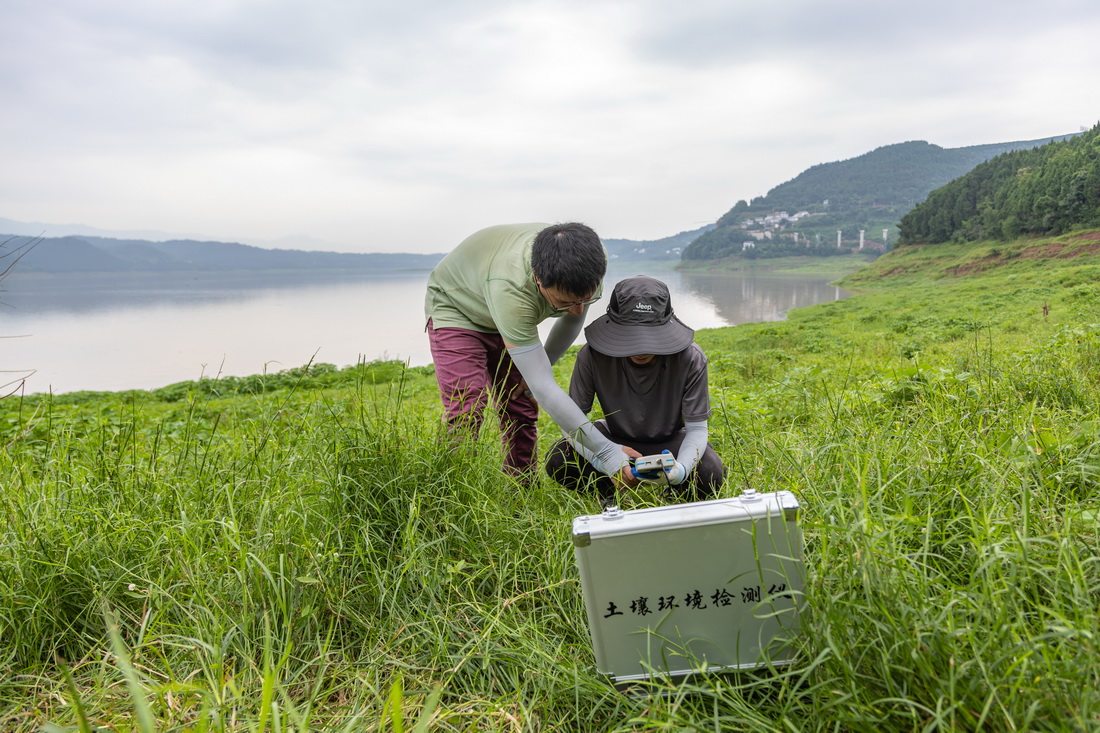 7月6日，在重慶市忠縣，中國科學院成都山地所科研人員在三峽水庫消落帶現場測定土壤溫濕度。新華社記者 黃偉 攝