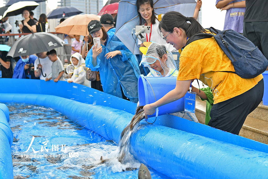 山東煙台：第五屆海洋放魚節公益活動舉行