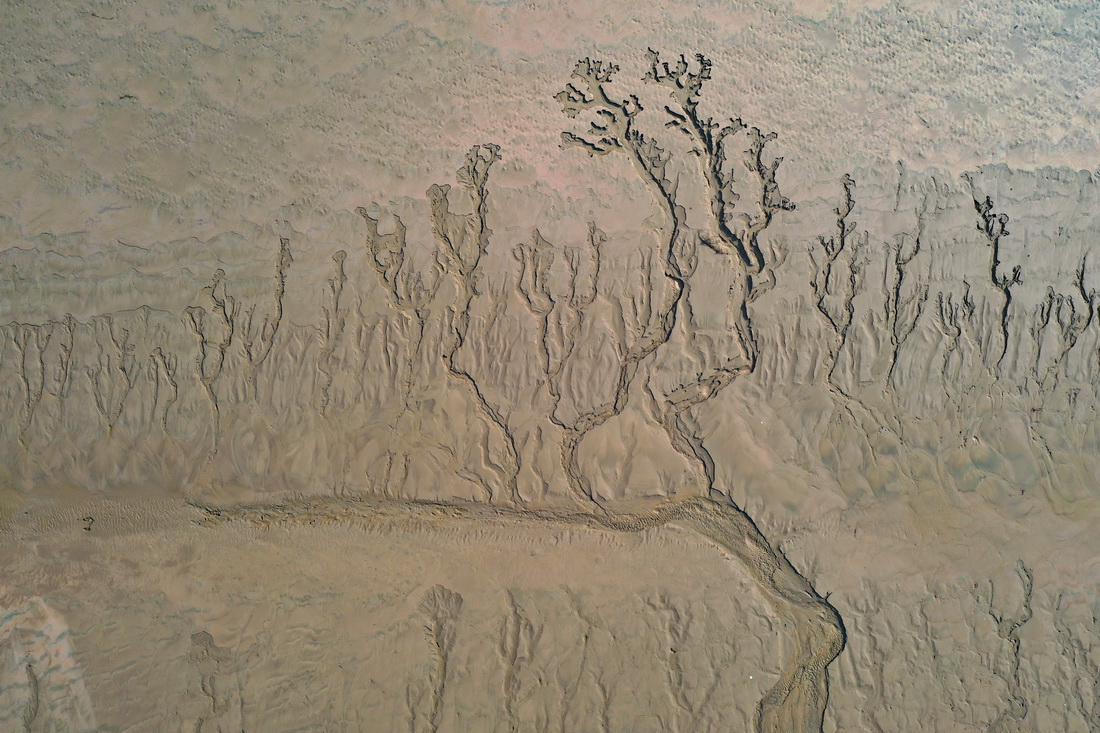 7月24日拍摄的黄河河南开封黑岗口险工段河床（无人机照片）。