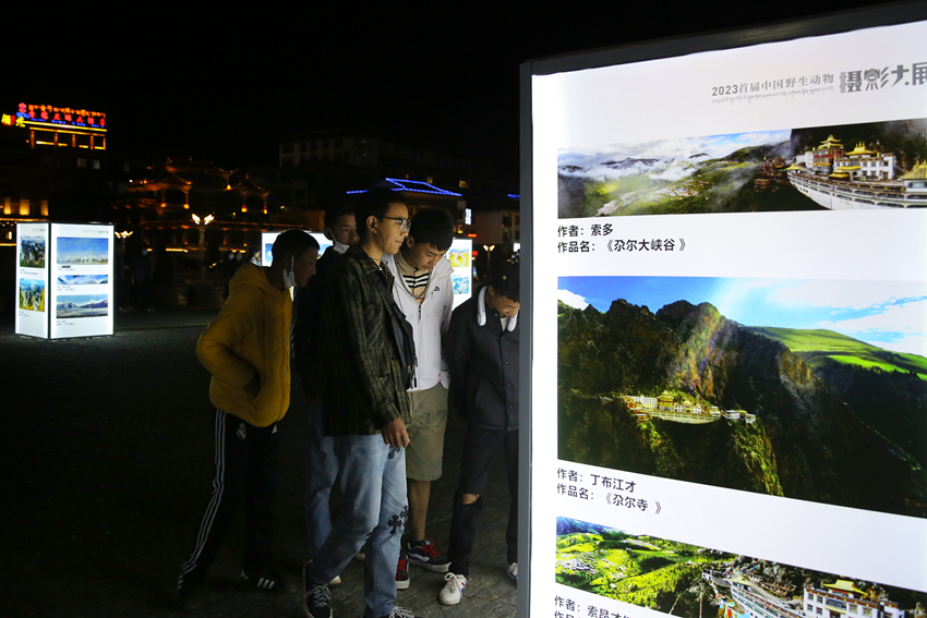 市民參觀首屆中國野生動物攝影大展。中國攝影家協會供圖