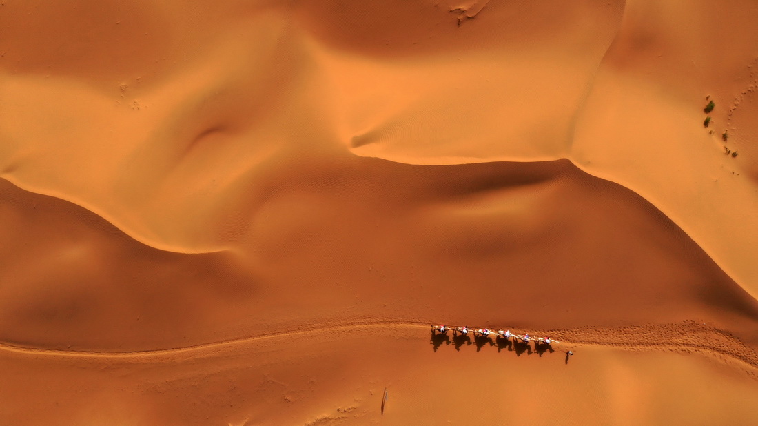 7月20日，游客在中卫市沙坡头景区腾格里沙漠体验沙漠骑骆驼（无人机照片）。新华社记者 王鹏 摄