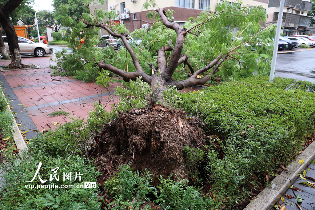 ̨�硰�����ǡ�Ӱ�츣�����š�5��