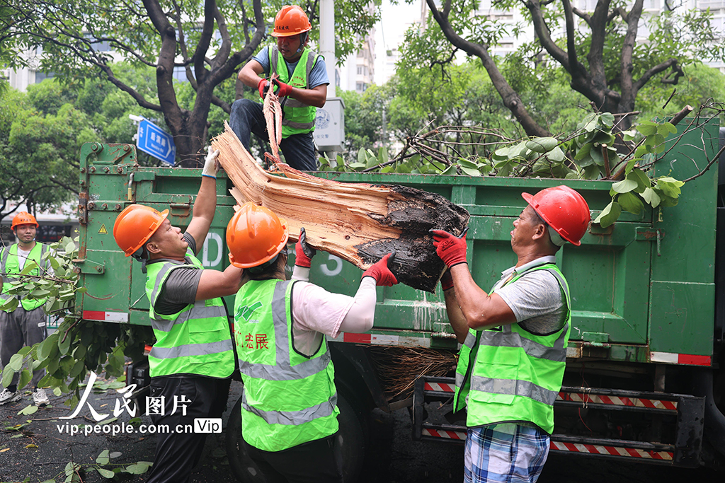 ̨�硰�����ǡ�Ӱ�츣�����š�6��