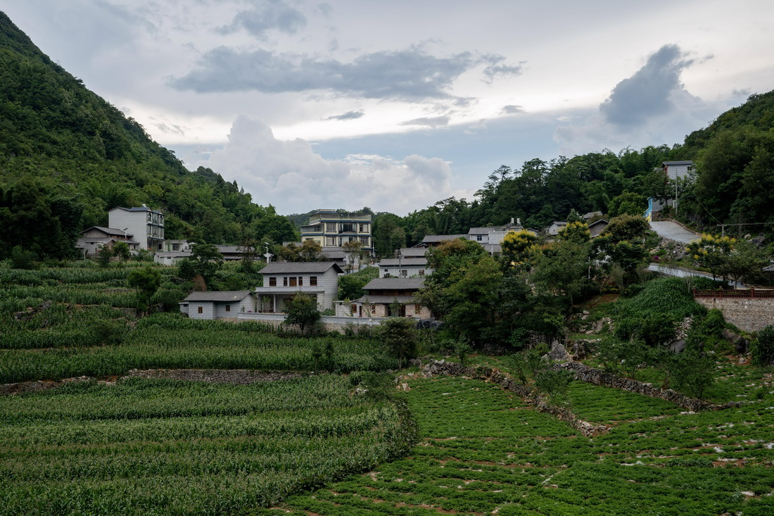這是李華明所在的岩頭村一景（7月26日攝）。新華社記者 陳欣波 攝