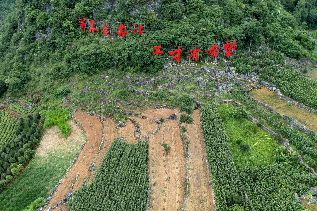 這是無人機視角下木者村“摸石谷”中建成的“三保”台地（無人機照片，7月27日攝）。新華社記者 陳欣波 攝