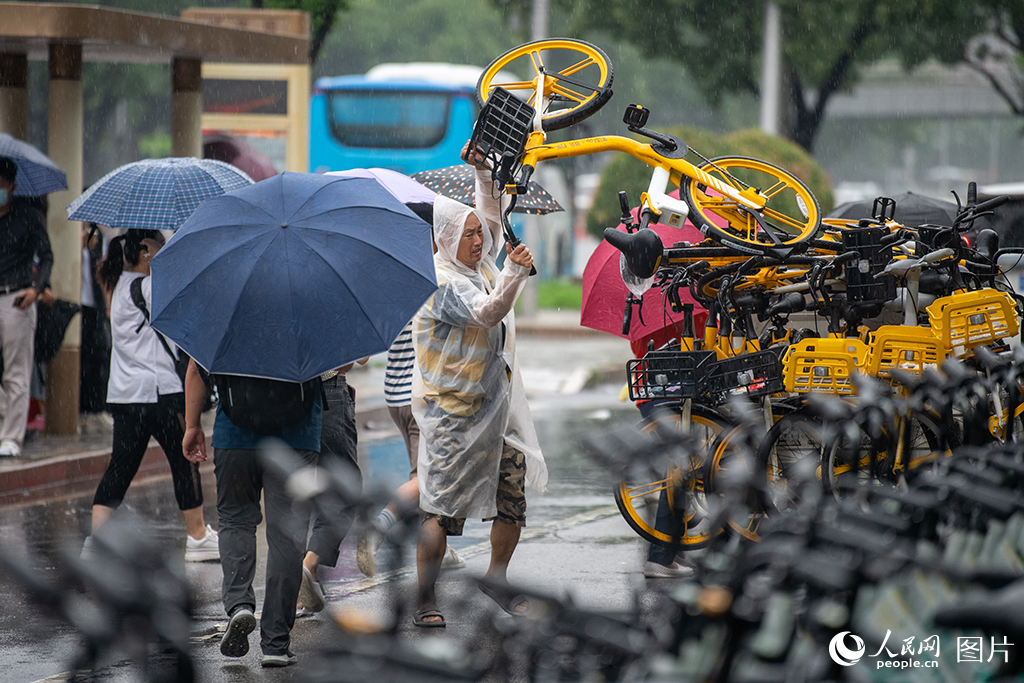 7月31日，共享單車維護員冒雨工作。