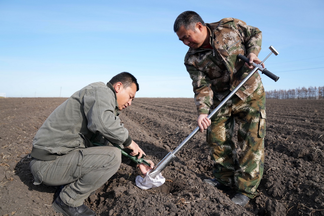 北大荒集团北安分公司赵光农场有限公司技术人员在取土样，为测土配方施肥做准备（2022年10月20日摄）。新华社记者 王建威 摄